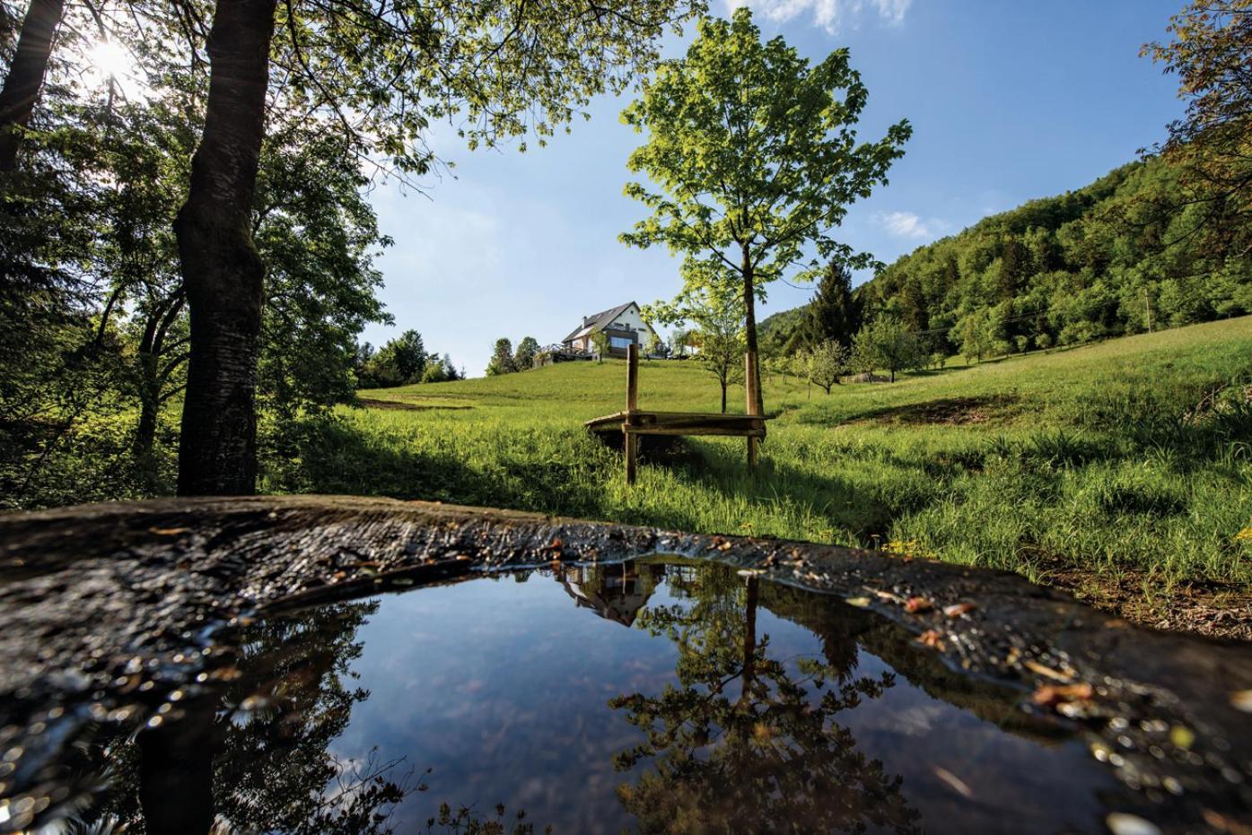 Na Kupcku Estate "Nature Reatreat & Wellness" Idrija Bagian luar foto